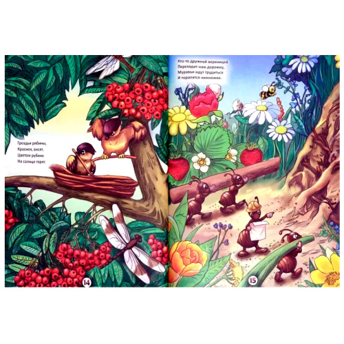 Книга «Летом в лесу»