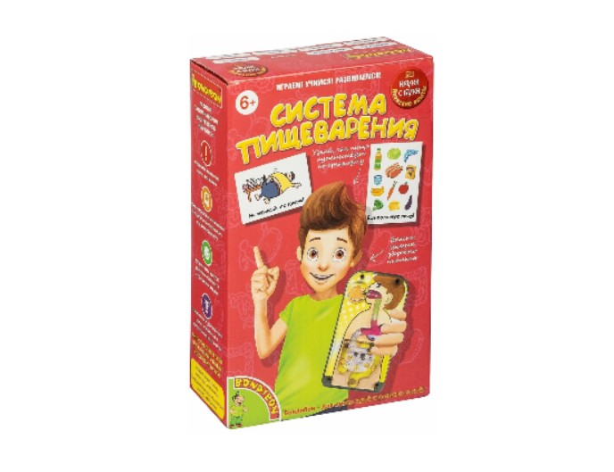 Набор для опытов "Система пищеварения" серия Японские опыты, бренд Bondibon