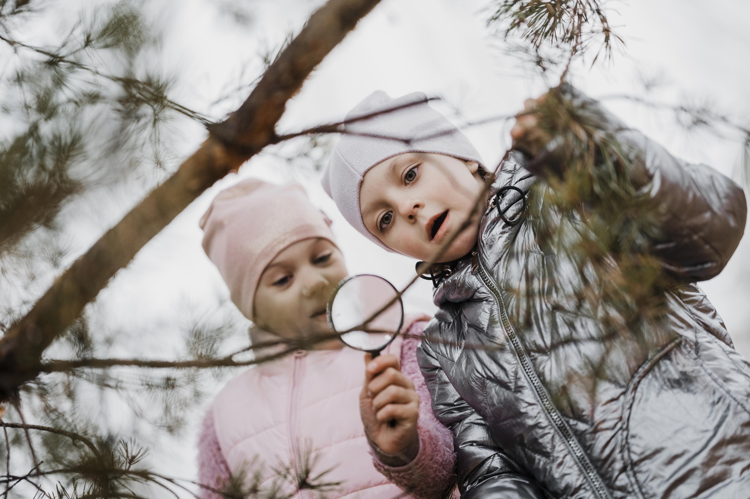 1 children-learning-science-nature-with-magnifier.jpg 1 children-learning-science-nature-with-magnifier.jpg