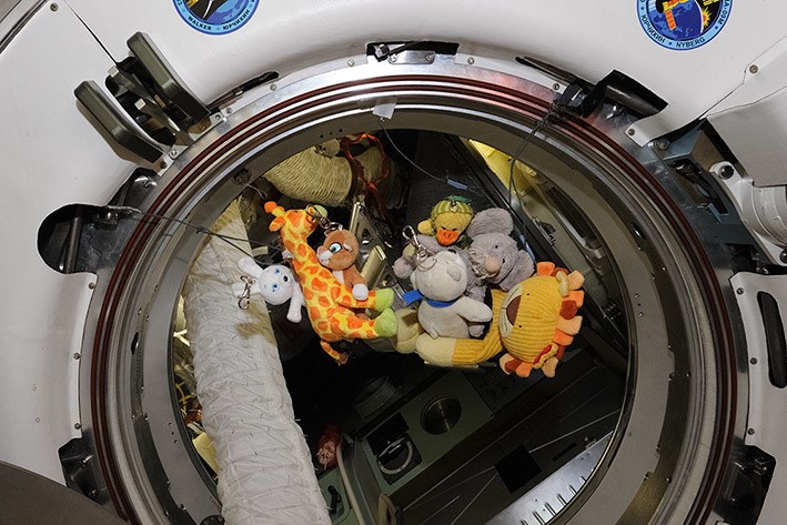 Плюшевый щенок стал талисманом экспедиции к МКС