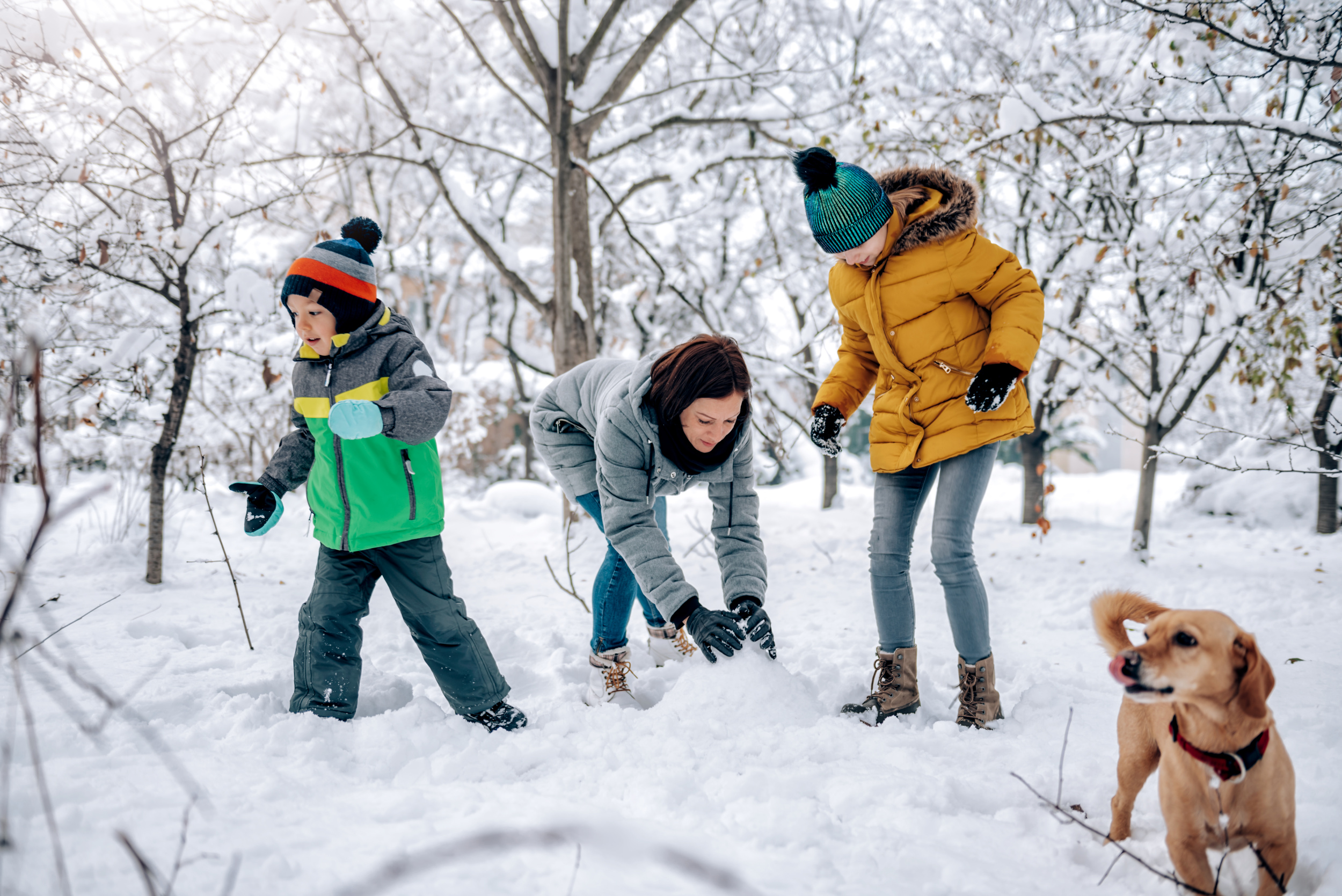 family-with-dog-playing-snow.jpg