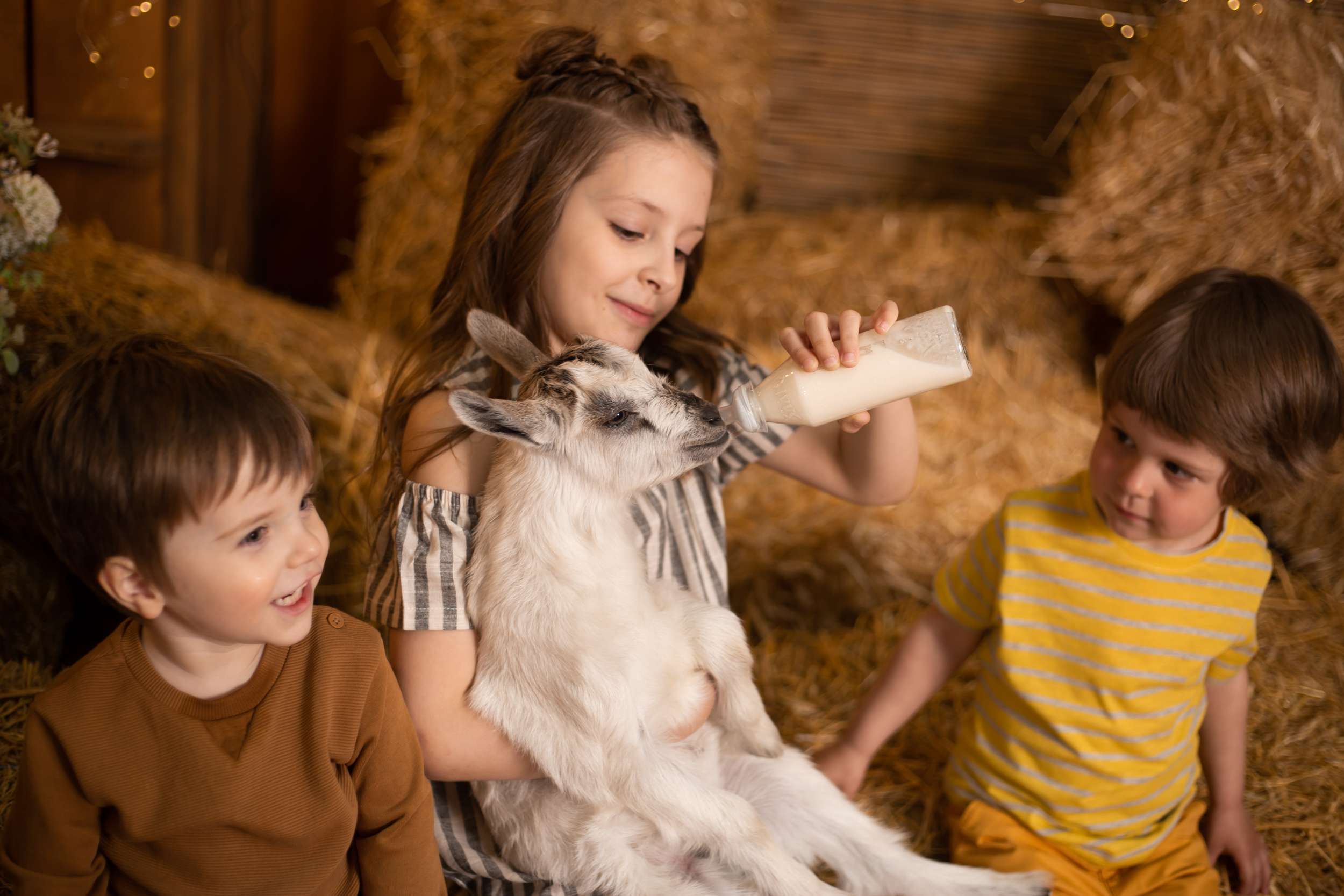 6 little-kids-playing-feeding-goat-with-bottle-milk.jpg