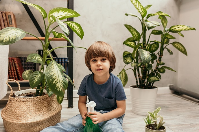 Растения в детской