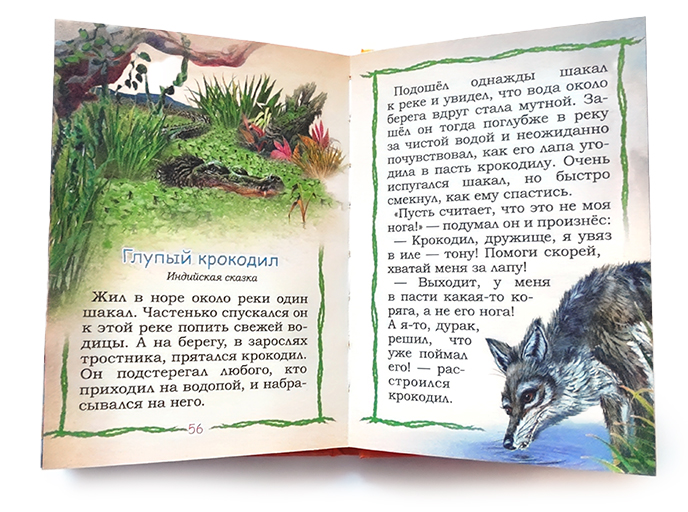 Оранжевая книга