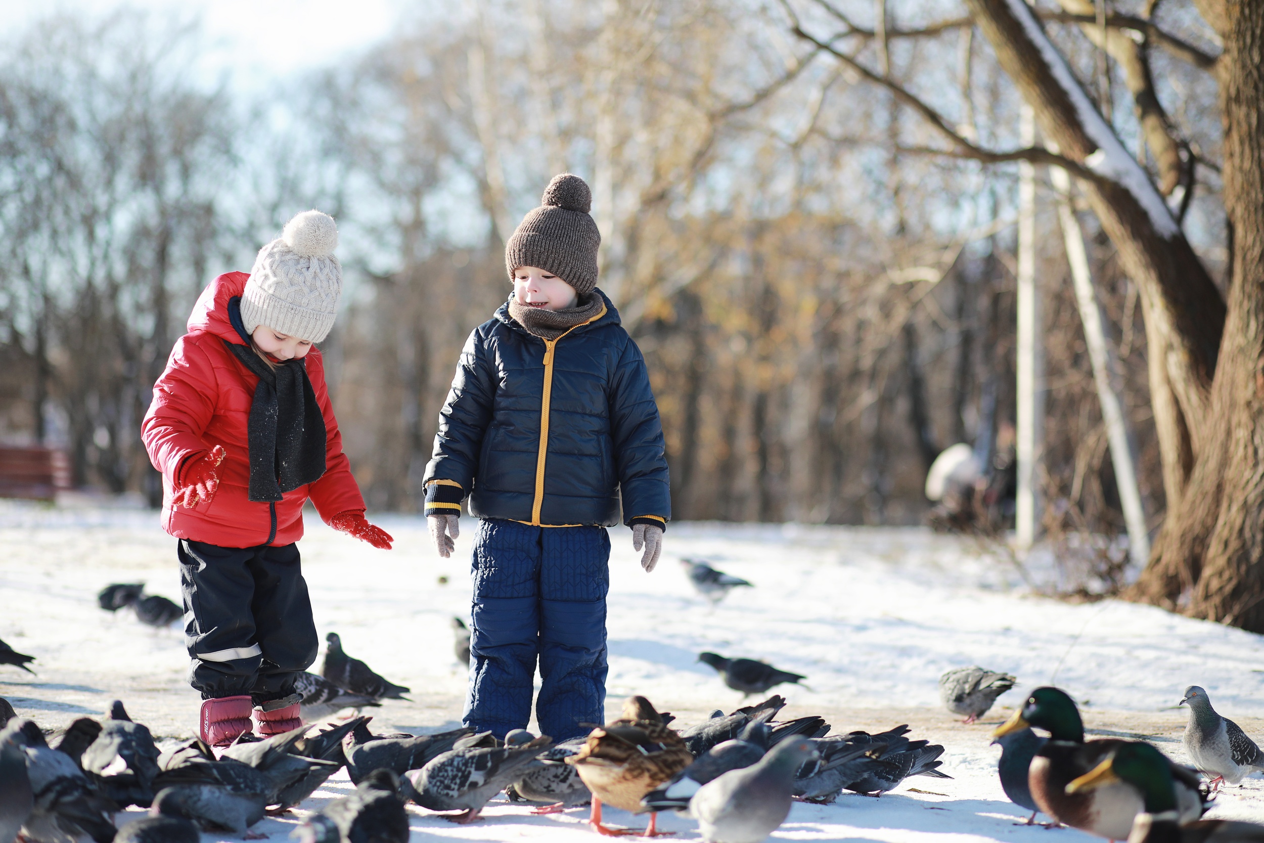 deti-v-zimnem-parke-igraut.jpg