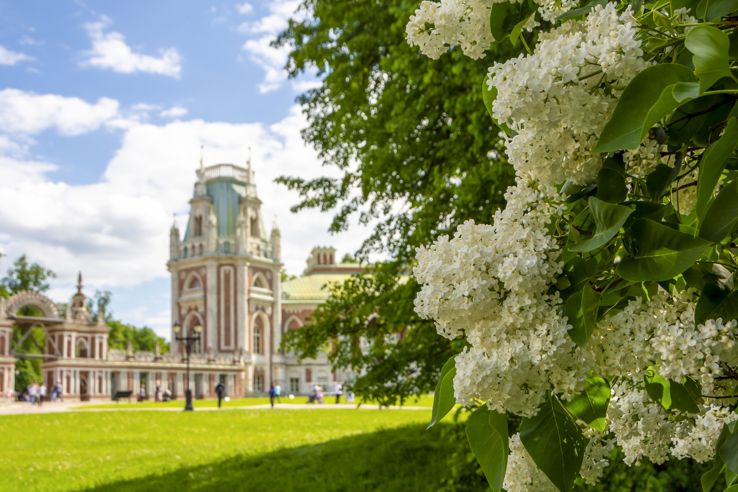 8 white-lilac-against-backdrop-grand-palace-tsaritsyno-park-moscow-russia.jpg 8 white-lilac-against-backdrop-grand-palace-tsaritsyno-park-moscow-russia.jpg