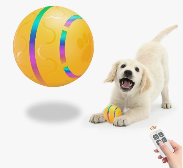 6 Мячик для собак с пультом управления 0 -KP.jpg