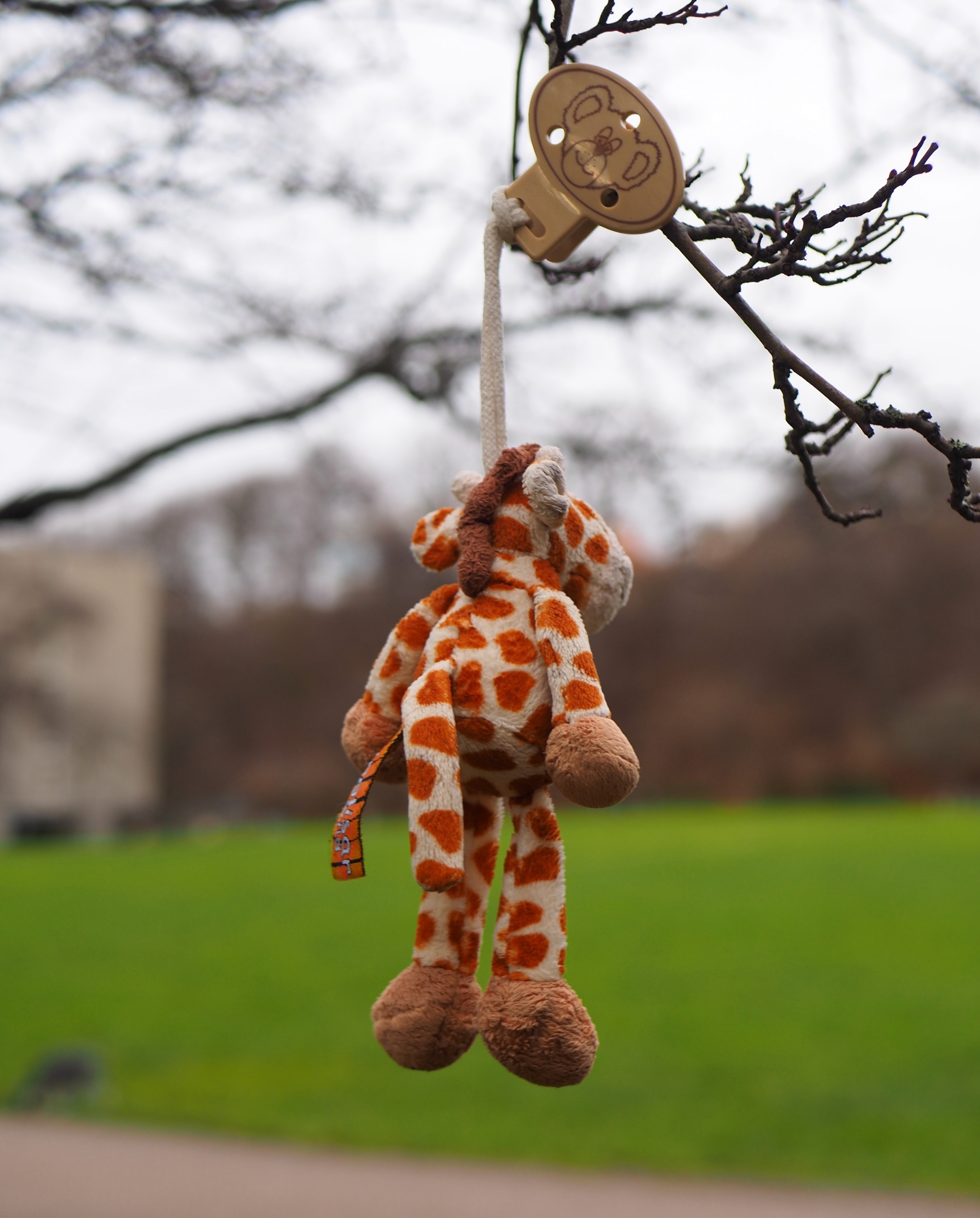 3 close-up-toy-hanging-tree-field-against-sky.jpg