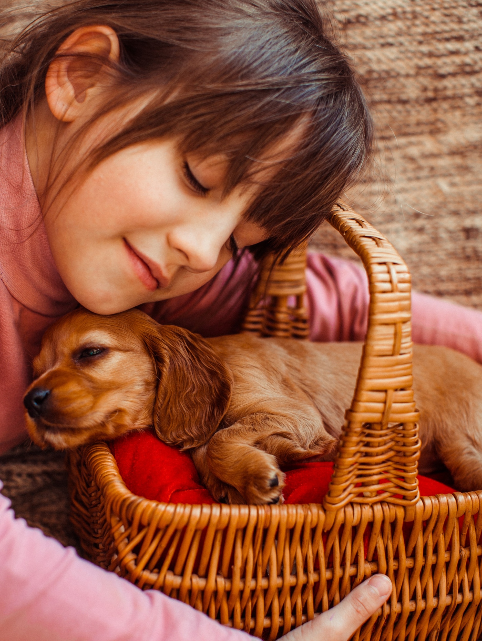 5 pretty-girl-embarcing-basket-with-dog.jpg 5 pretty-girl-embarcing-basket-with-dog.jpg