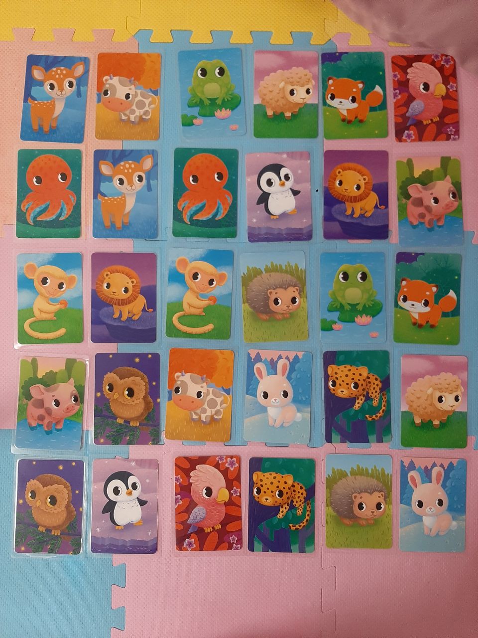 3 photo_4_2026-02-13_12-23-29.jpg 3 photo_4_2026-02-13_12-23-29.jpg