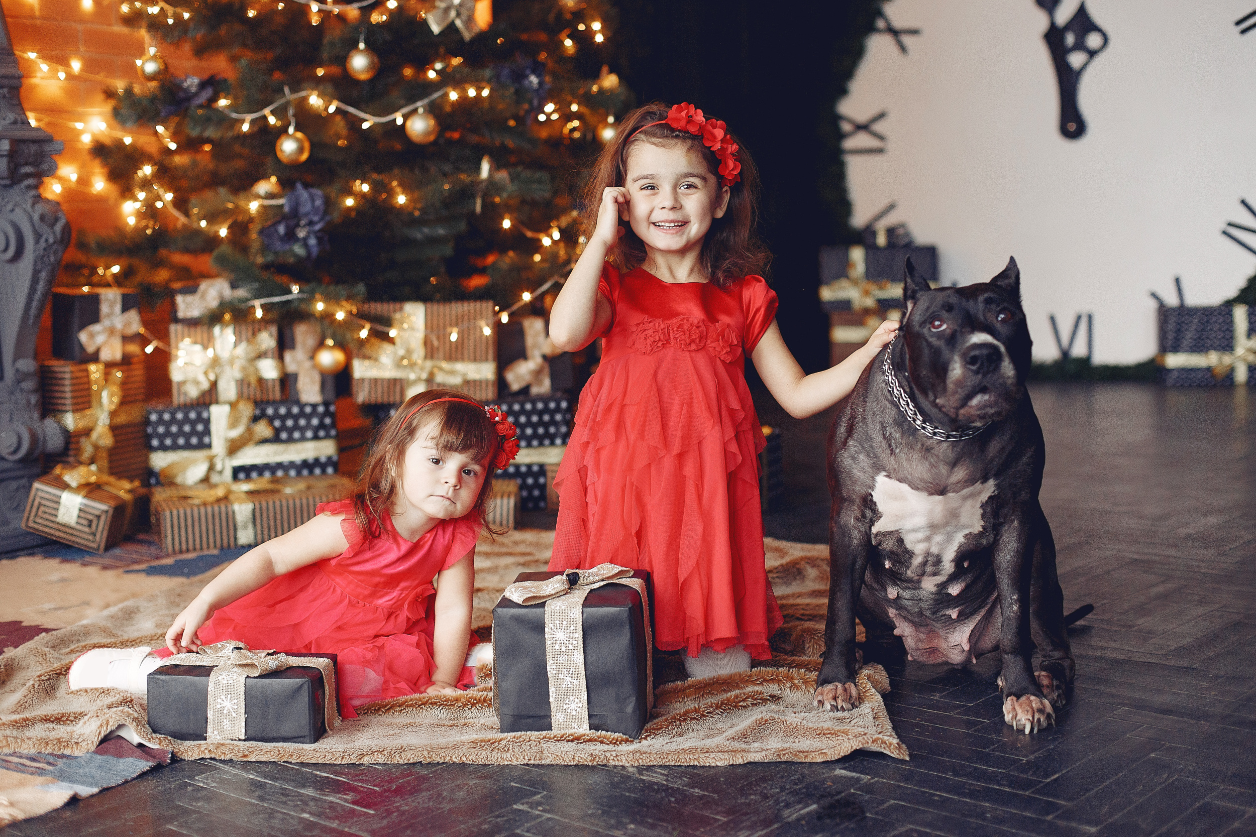 7 happy-child-dog-with-christmas-gift-child-red-dress-baby-having-fun-with-dog-home-xmas-holiday-concept.jpg