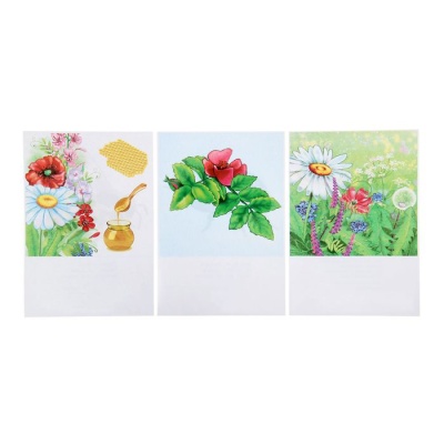 Настольная игра самым маленьким «Птицы и насекомые»