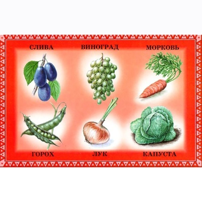 Развивающее лото «Дары лета», ЮНСИ