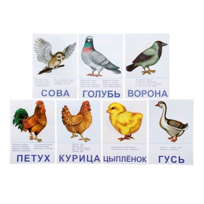 Настольная игра самым маленьким «Птицы и насекомые»