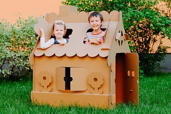 ТОП лучших моделей из картона