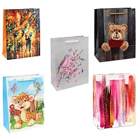Пакет подарочный Dream Cards/Perfect Craft, размер М