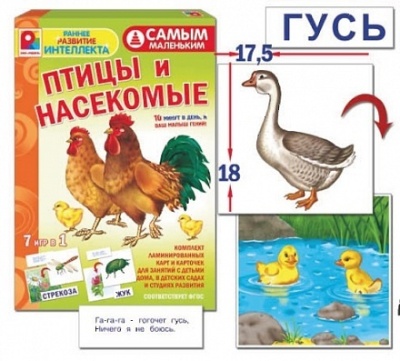 Настольная игра самым маленьким «Птицы и насекомые», Радуга