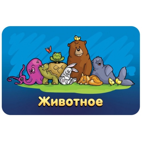 Настольная игра «Соображарий Junior», Hobby World