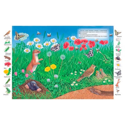 Первые книги малыша. Учим новые слова! «На лугу и в поле», Улыбка