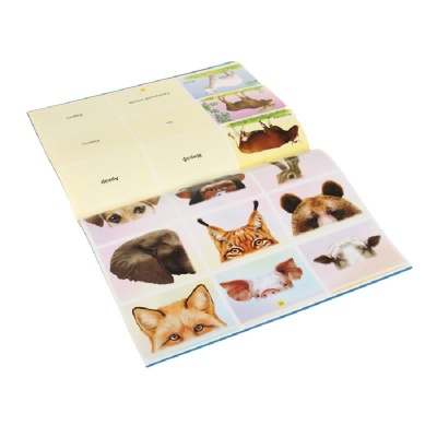 Учебно-игровое пособие «Логический экран» + 4 альбома, Корвет