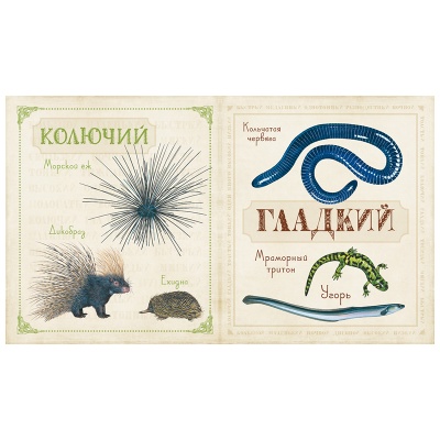 Книга «Живые противоположности», Росмэн