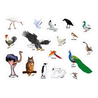 Комплект деревянных магнитов «Птицы», Интердизайн