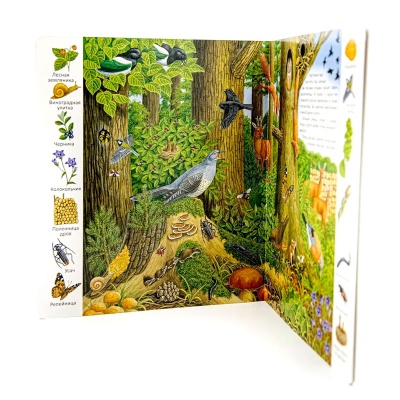 Первые книги малыша. Учим новые слова! «В лесу», Улыбка