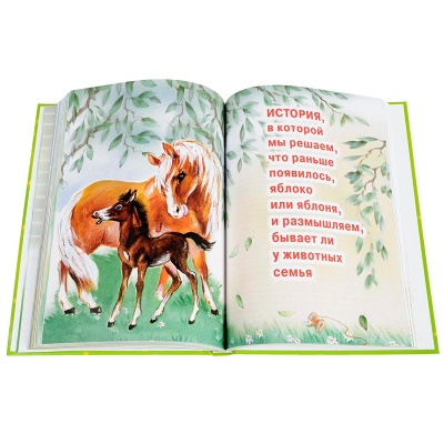 Книга-мечта «‎О том самом зайке без капризов и обид, и о школе Монтессори»‎ 1+, Карапуз