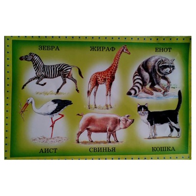 Развивающее лото «Угадай животных», ЮНСИ