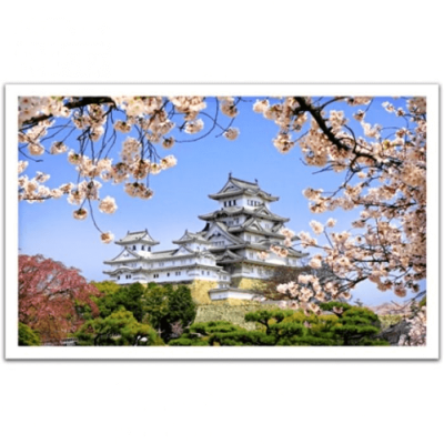 Пазл «Цветущая сакура в храме Химедзи», 1000 элементов