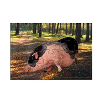 Макси-пазлы МКИ, 100х70 см, в ассортименте