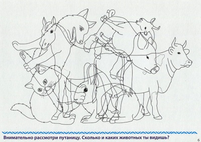 Развивающая игра «Готов ли ребенок к школе? Внимание»