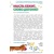 Игровое пособие «Мысль бежит, слово догоняет», Ребус Игровое пособие «Мысль бежит, слово догоняет», Ребус