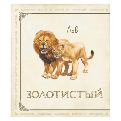 Книга «Живые цвета», Росмэн