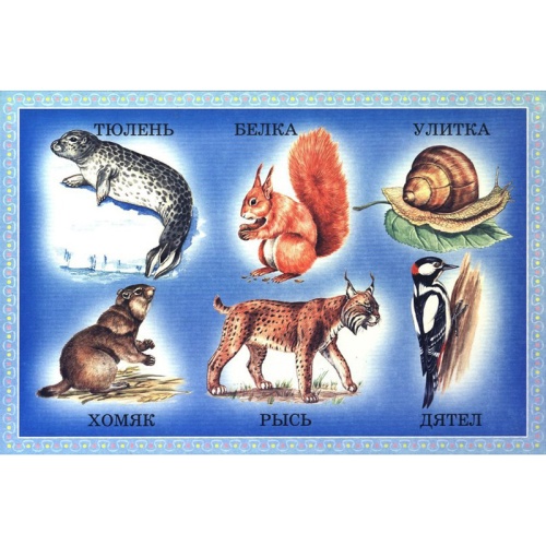 Развивающее лото «Угадай животных», ЮНСИ