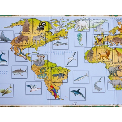 Настольная игра «Занимательная зоология», Новое поколение