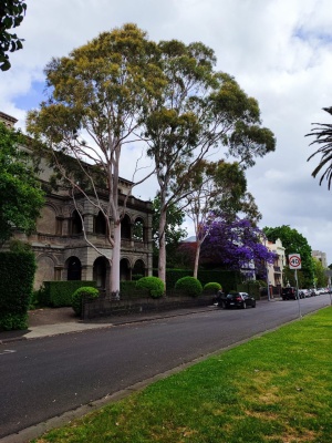 ТЕСТ КОПИРОВАНИЕ 1