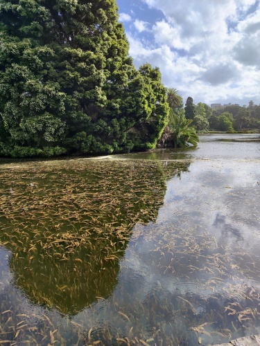 Игрушка «Робот» тест карточки 12