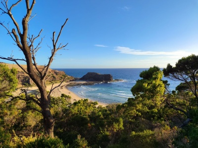 Мягкая игрушка "Кенгуру" 30 см, Australian Animals