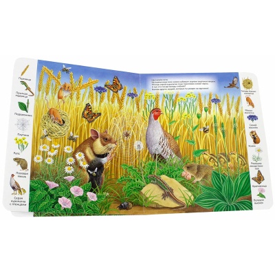 Первые книги малыша. Учим новые слова! «На лугу и в поле», Улыбка