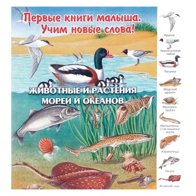 Первые книги малыша. Учим новые слова! «Животные и растения морей и океанов», Улыбка